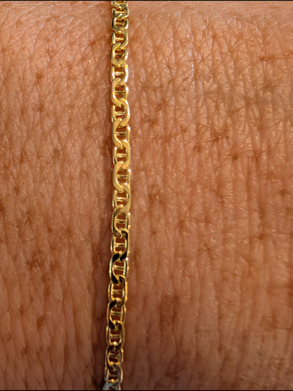 10k Gold Mariner Link Bracelet 8-in - NEW